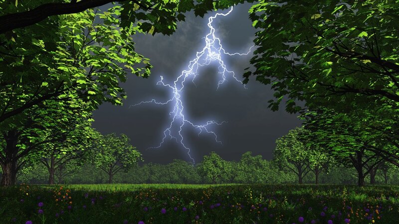 Lightning Strike in Forest — Green, Dramatic, Night, Digital Art, Trees, Field, Clouds