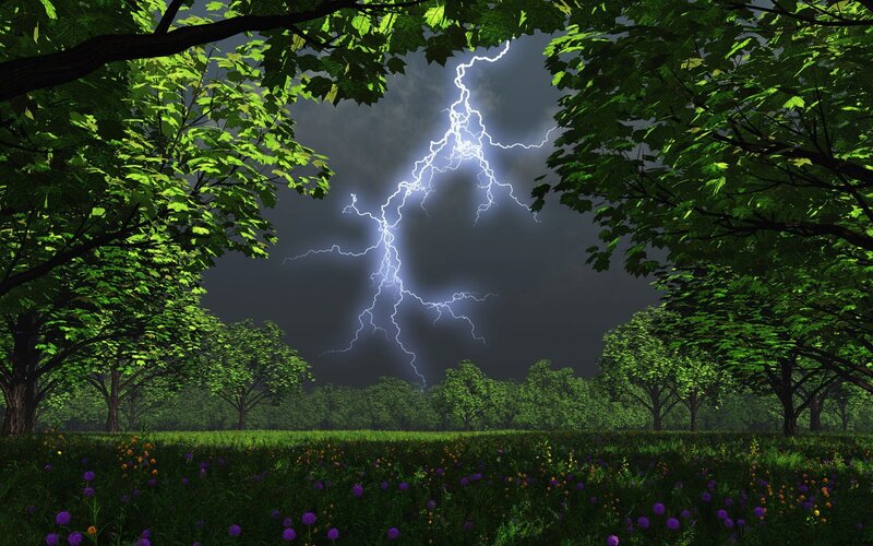 Lightning Strike in Forest — Green, Dramatic, Night, Digital Art, Trees, Flowers