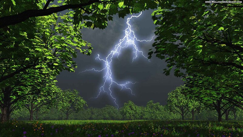 Lightning Strike in Forest — Green, Dramatic, Night
