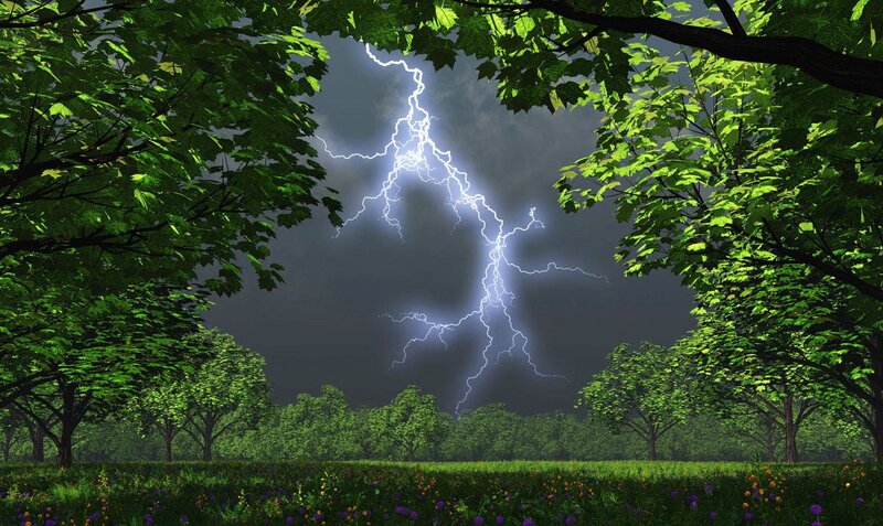 Lightning Strike in Forest — Green, Dramatic