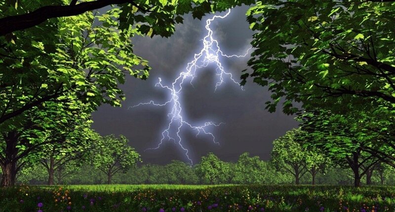 Lightning Strike in Forest — Green