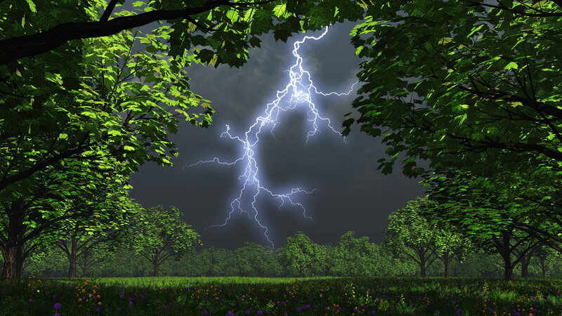 Lightning Strike in Forest