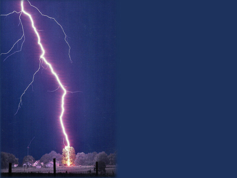 Lightning Strike on Tree