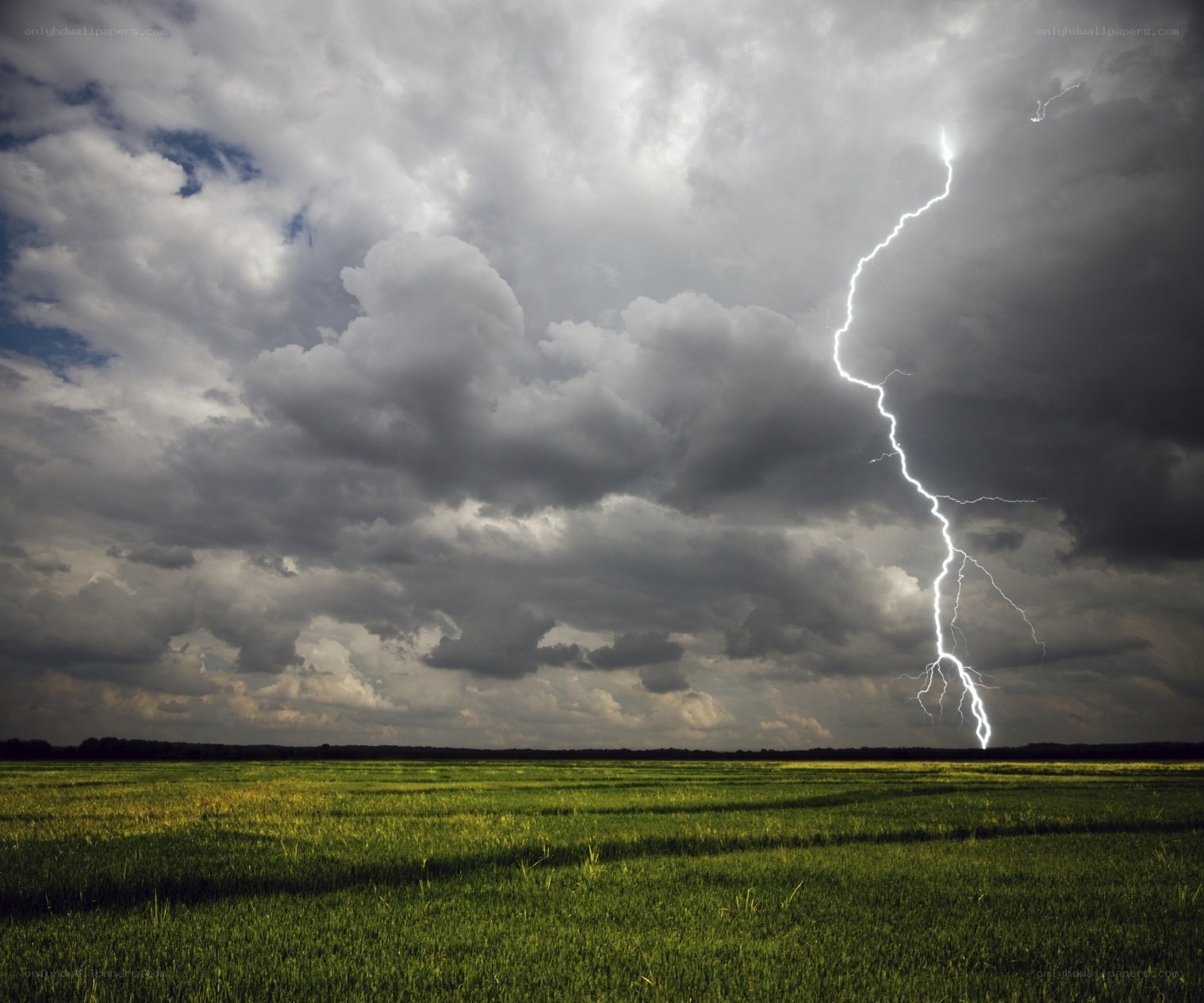 Lightning strike over a field