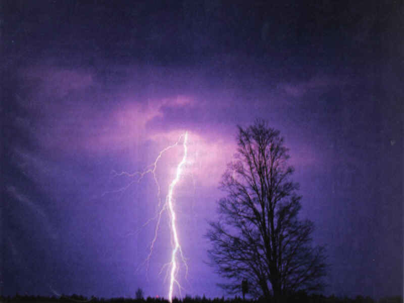 Lightning strike over tree