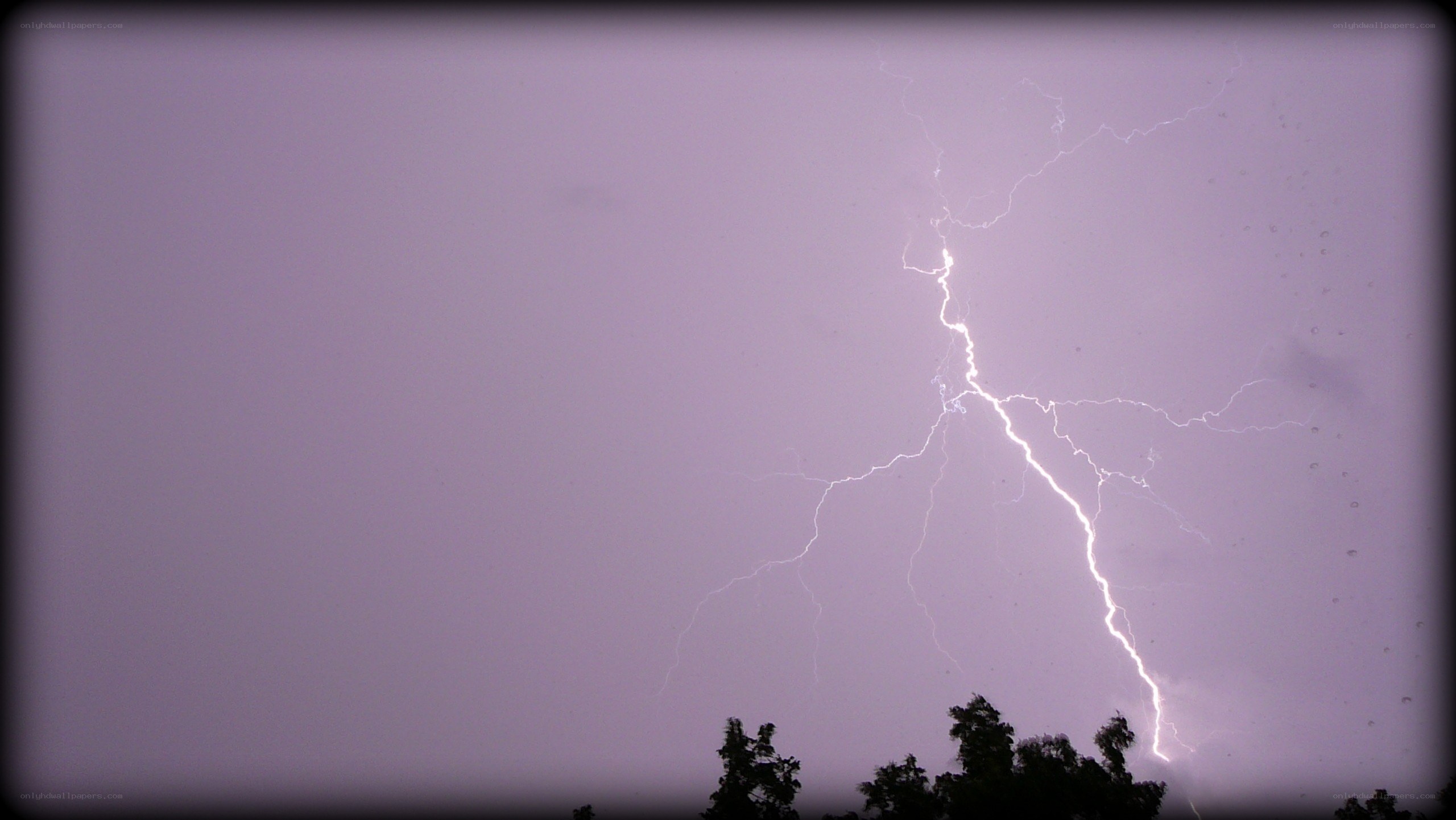 Lightning strike over trees
