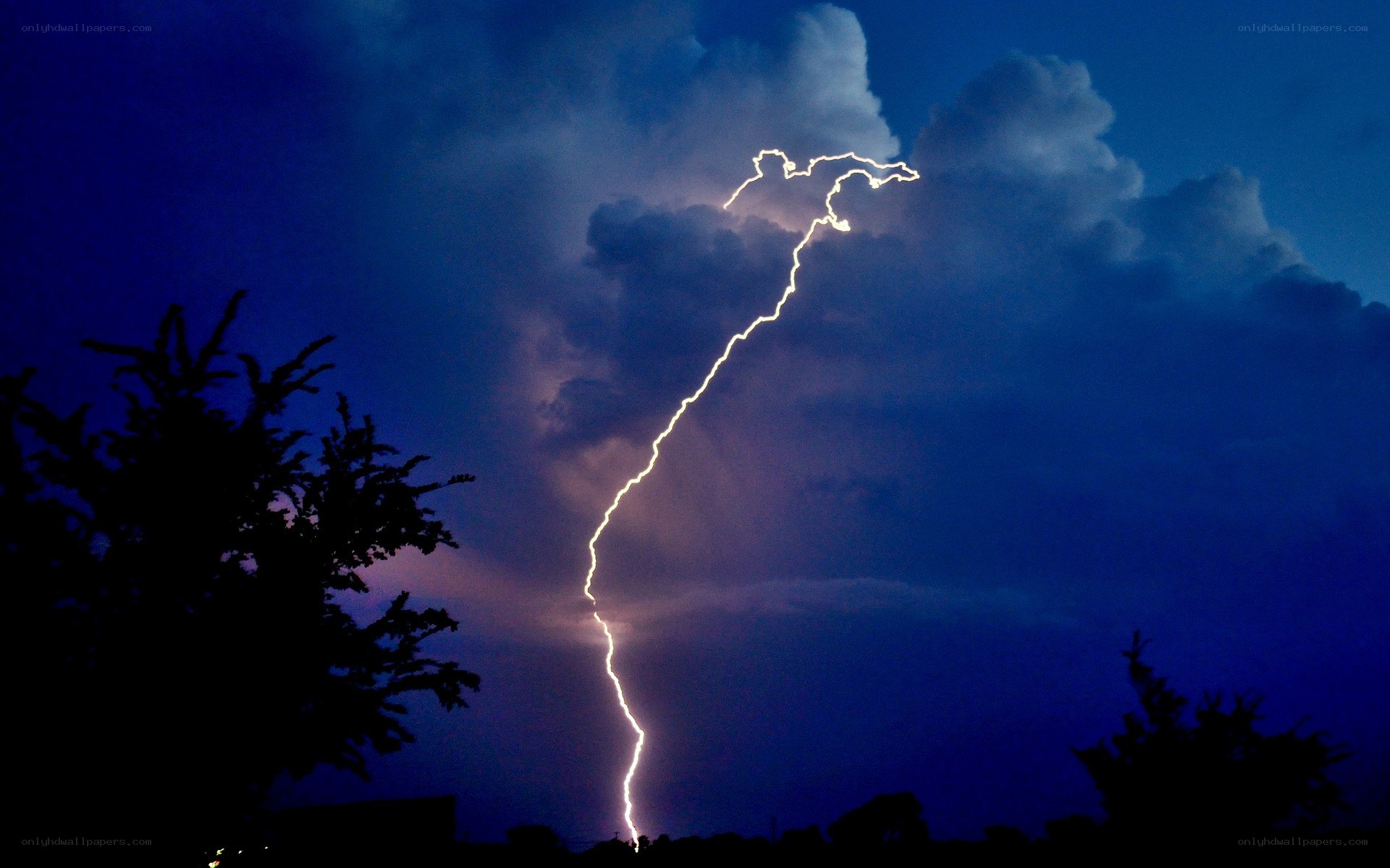 Lightning strike over trees