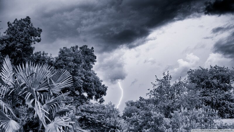 Lightning Strike over Trees — Gray, Dramatic, Night