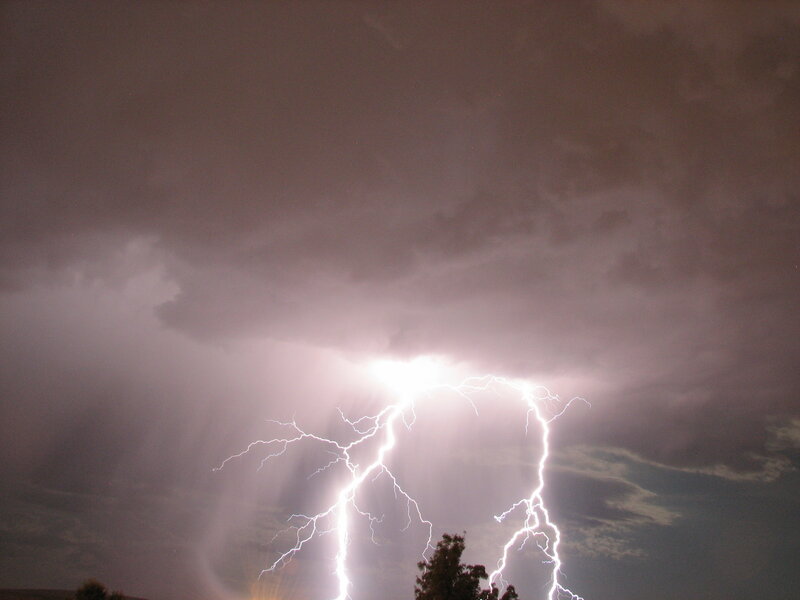 Lightning Strike over Trees — Gray