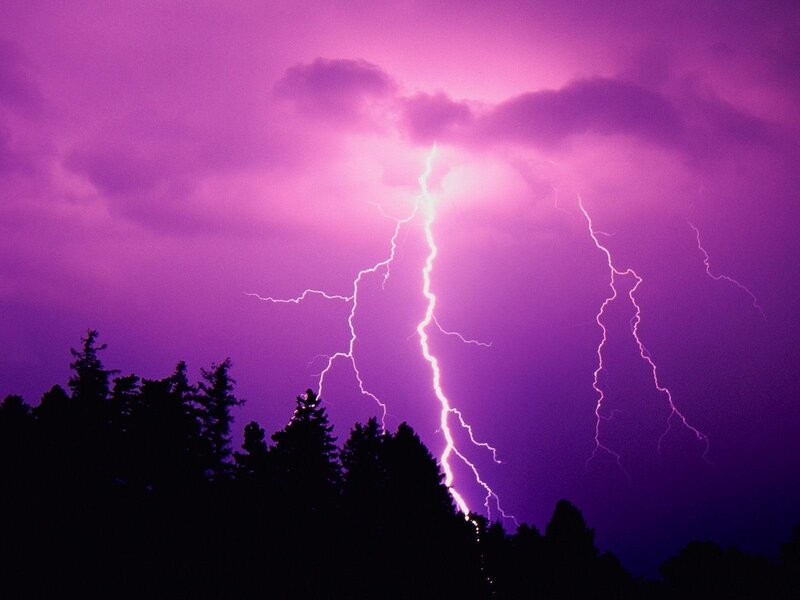 Lightning Strike over Trees — Night