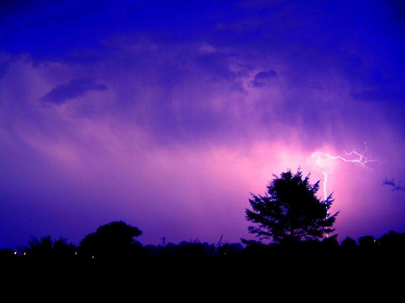 Lightning Strike over Trees — Purple, Dramatic, Night, Photograph, Sky