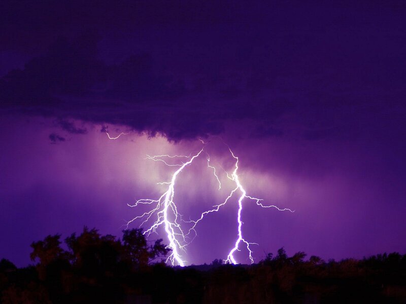 Lightning Strike over Trees — Purple, Dramatic, Night, Photograph