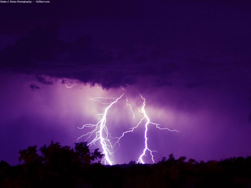 Lightning Strike over Trees — Purple, Dramatic, Night