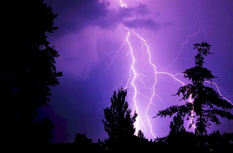 Lightning Strike over Trees — Purple