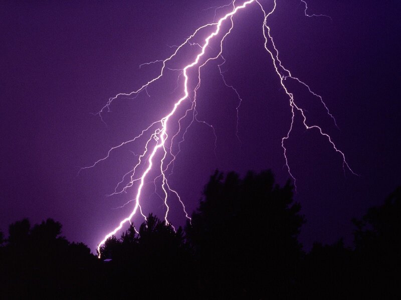 Lightning strike over trees