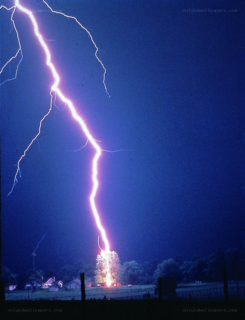 Lightning strikes a tree at night