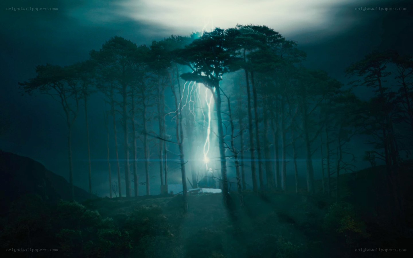 Lightning strikes forest clearing