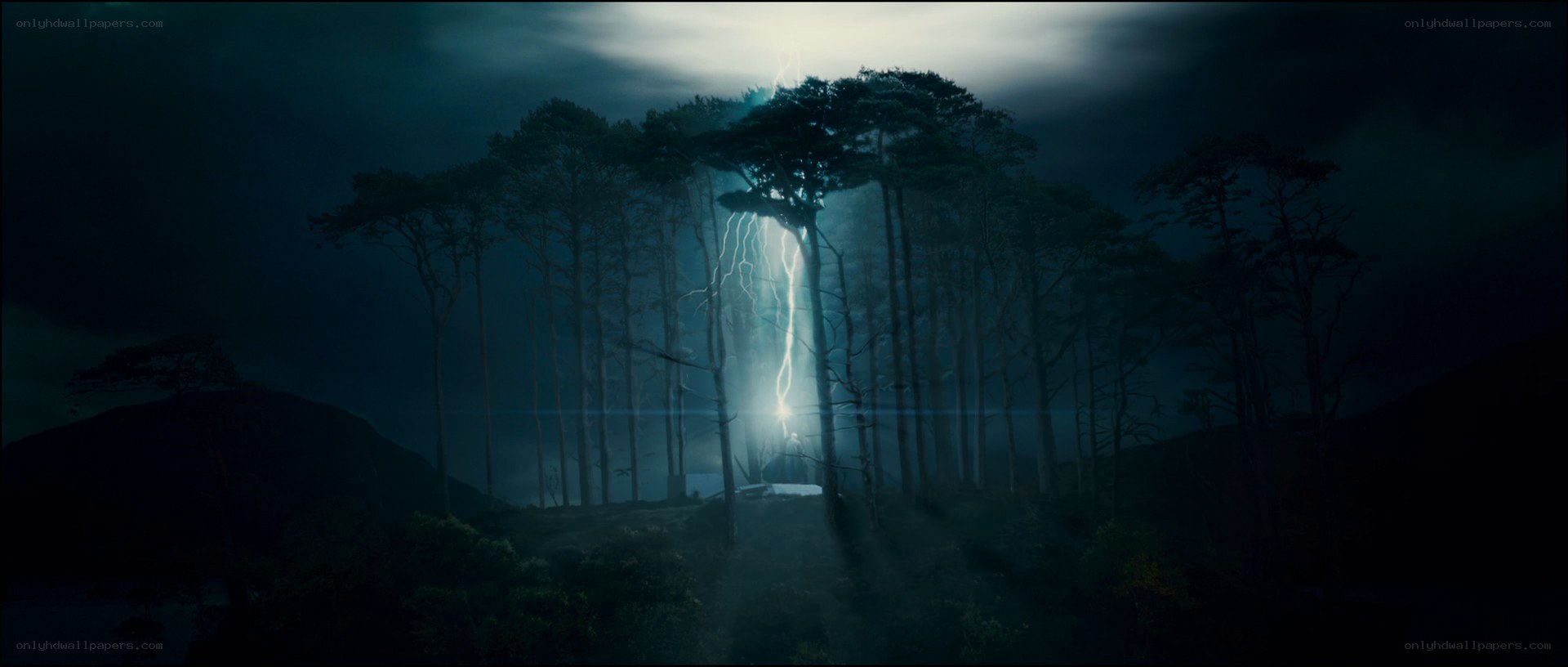 Lightning strikes forest clearing