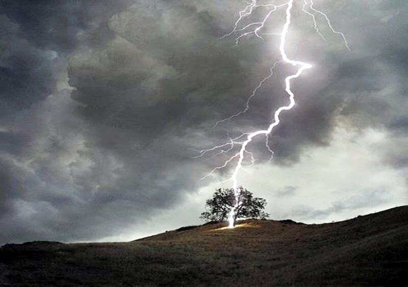 Lightning strikes lone tree