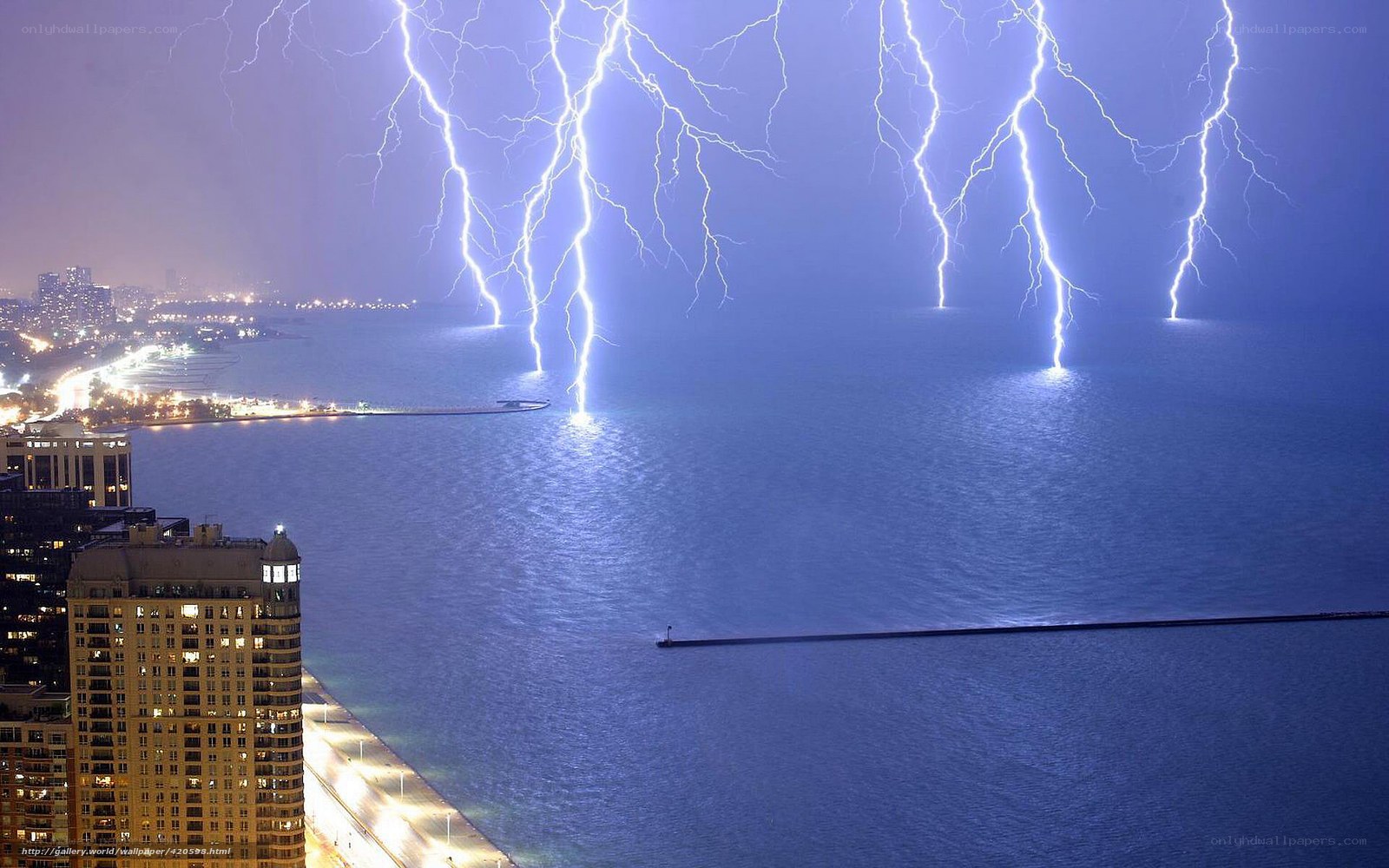 Lightning strikes over city lake