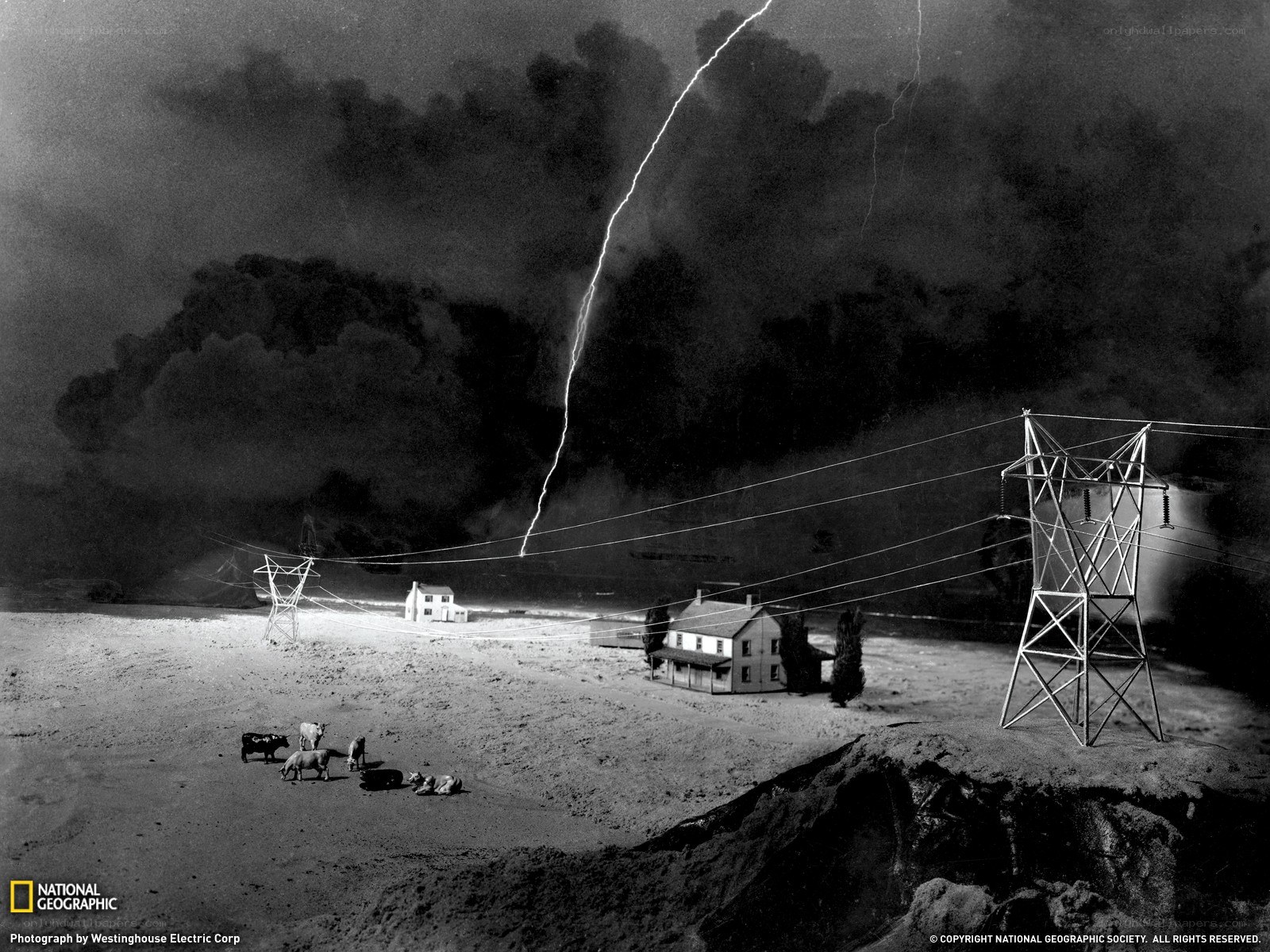 Lightning strikes over rural landscape