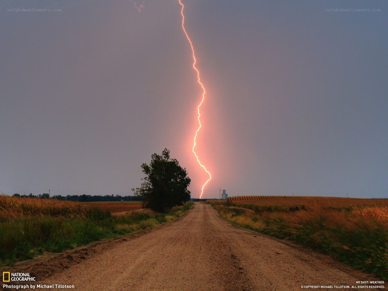 Lightning strikes over rural road