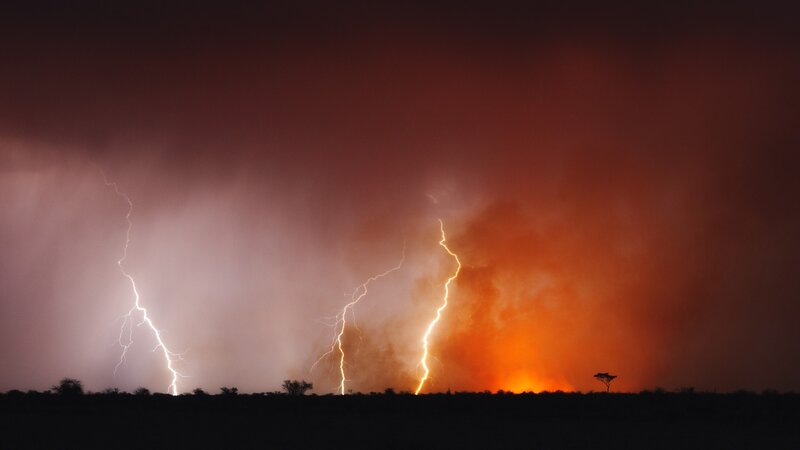 Lightning Strikes over Savanna — Black