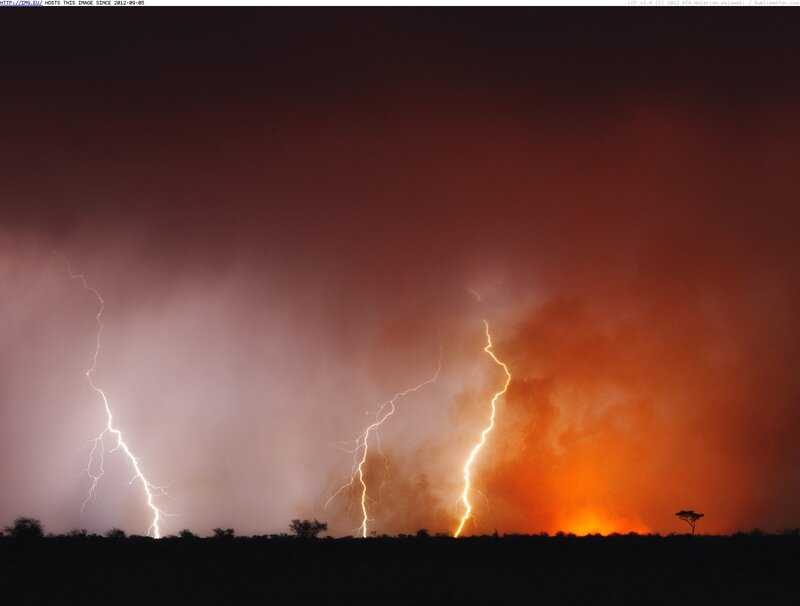 Lightning Strikes over Savanna
