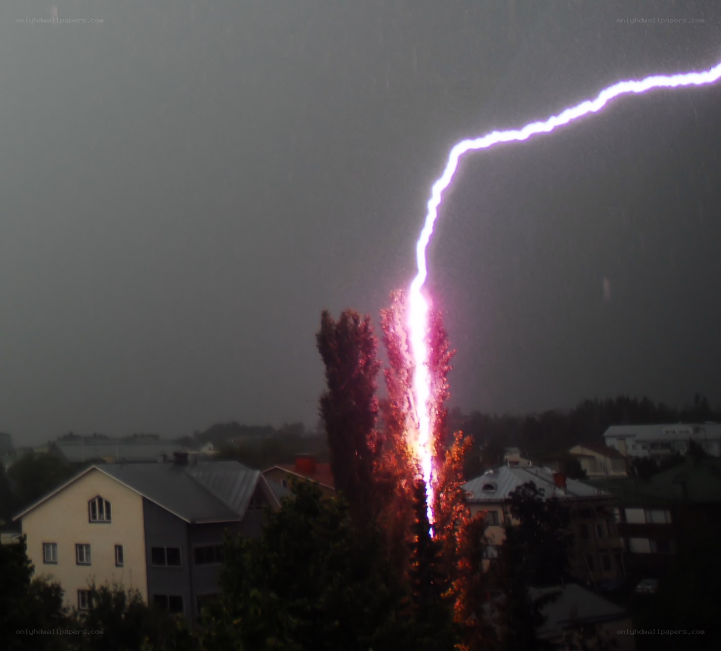 Lightning strikes tree