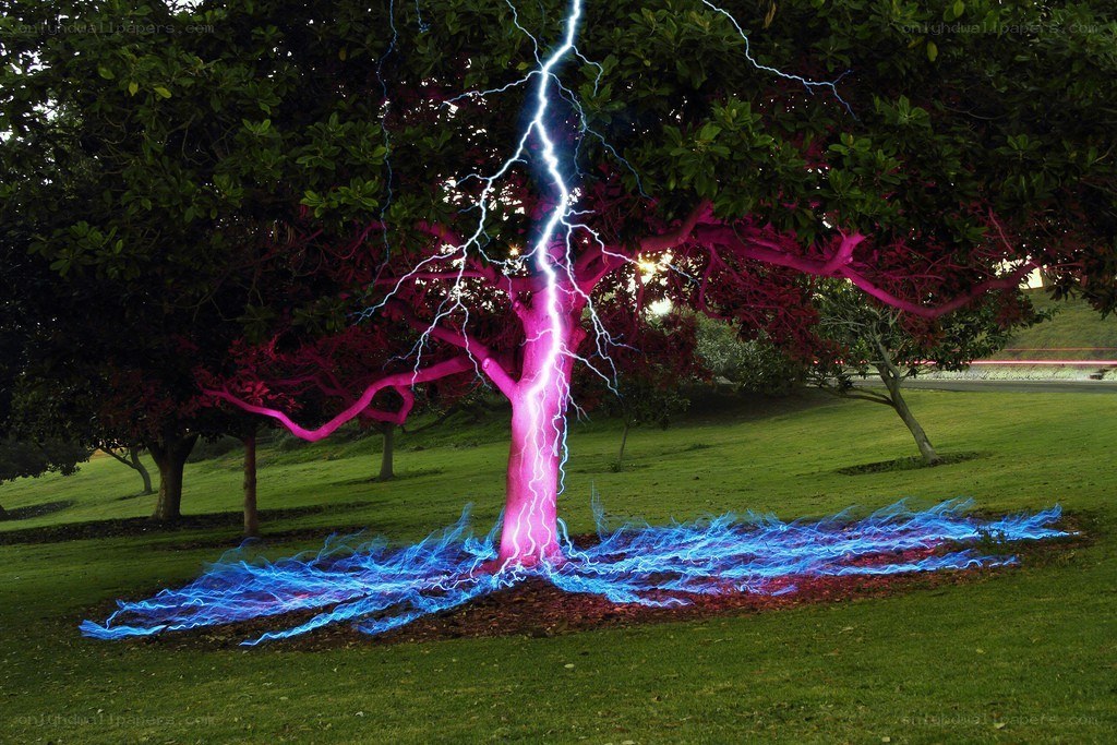 Lightning striking a tree