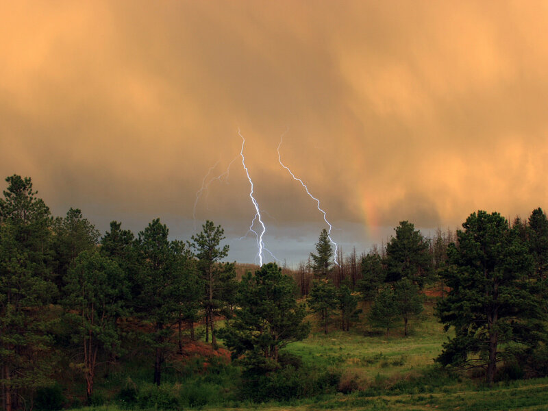 Lightning Striking Forest — Orange