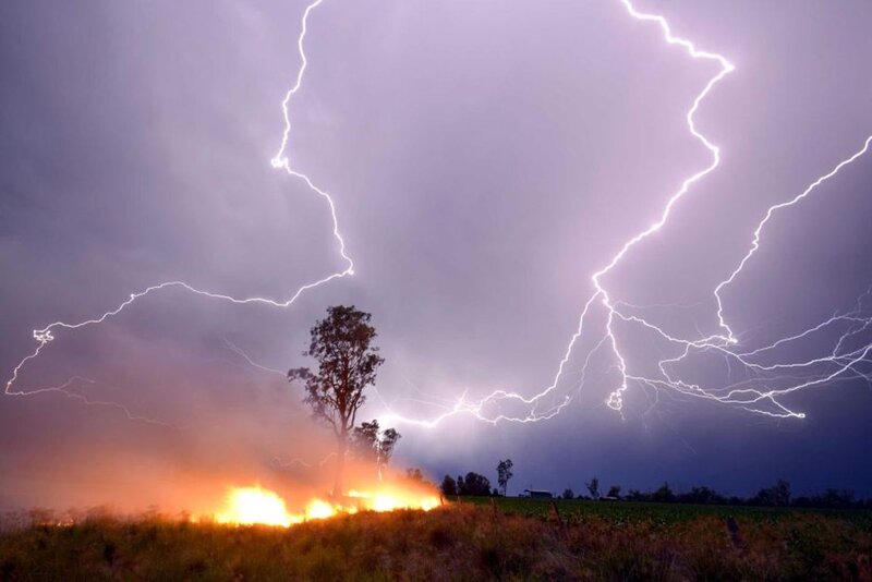 Lightning Striking Tree — Purple