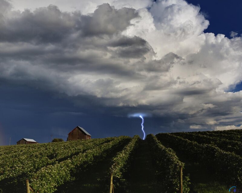 Lightning Striking Vineyard