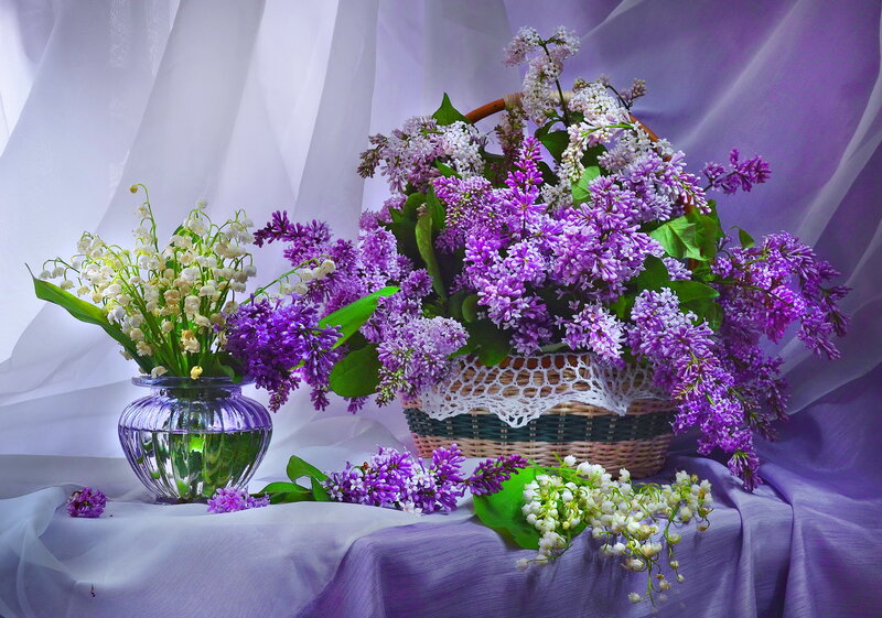 Lilac and Lily-of-the-valley