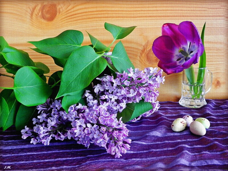 Lilac and Tulip Bouquet — Purple, Calm