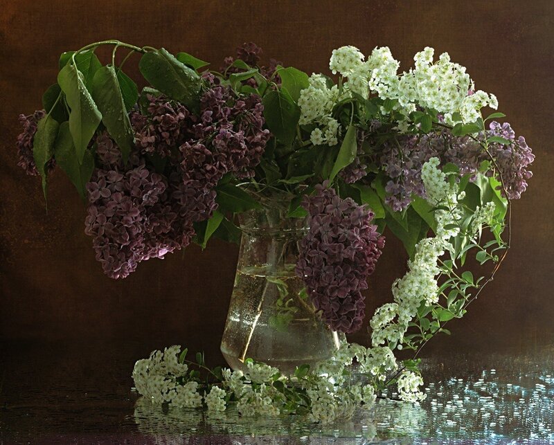 Lilac and White Flowers