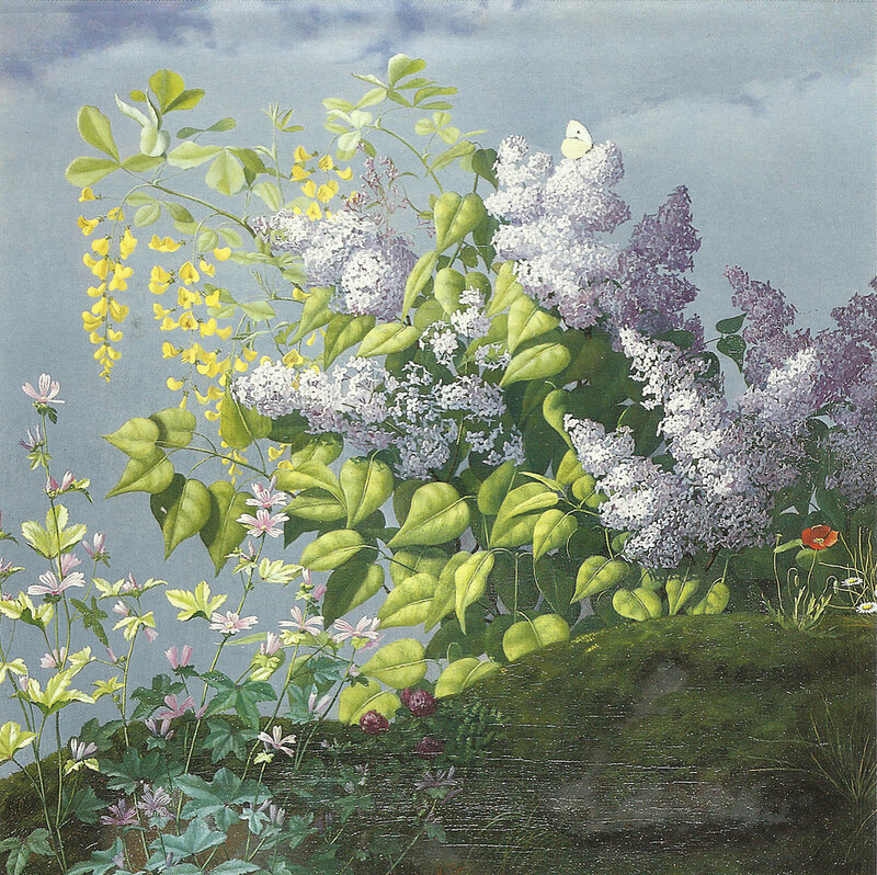 Lilac and Yellow Flowers — Purple