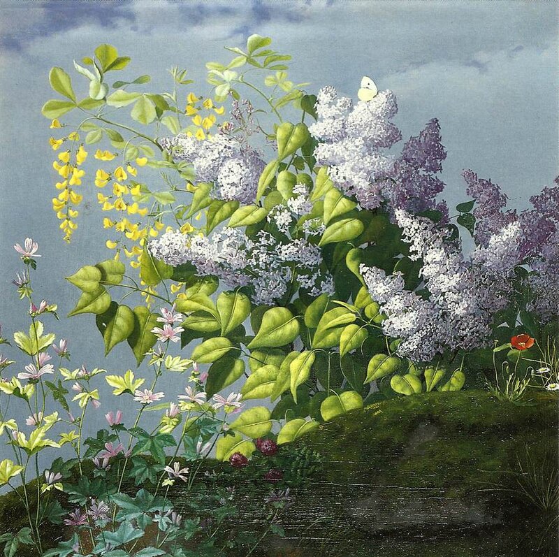 Lilac and Yellow Flowers