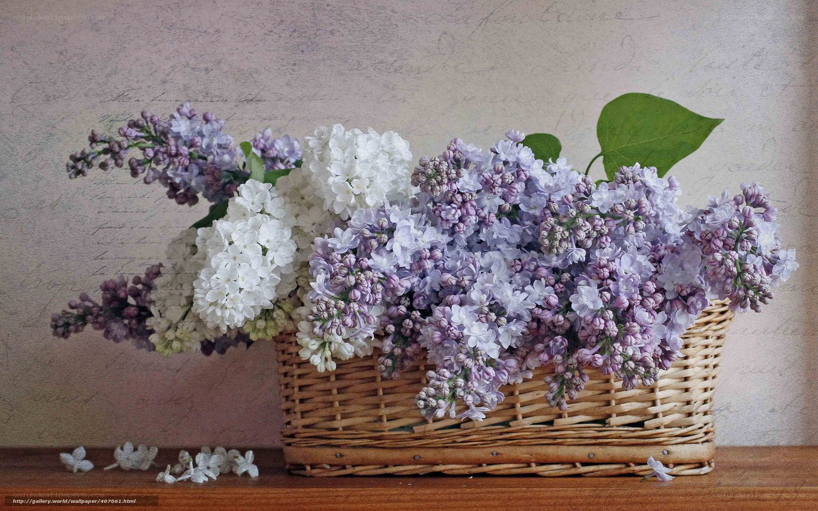 Lilac bouquet in a basket