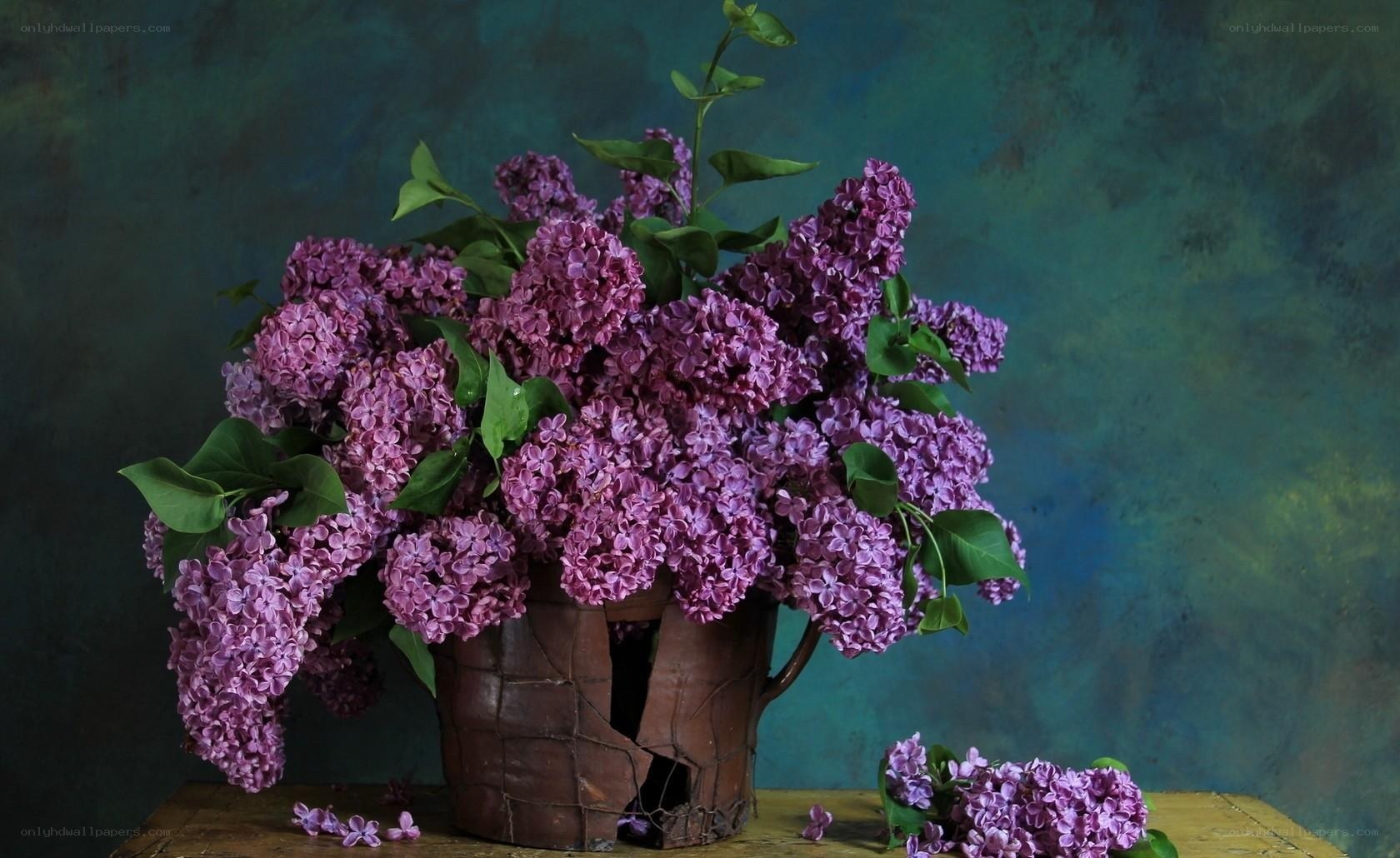 Lilac bouquet in a rustic pot