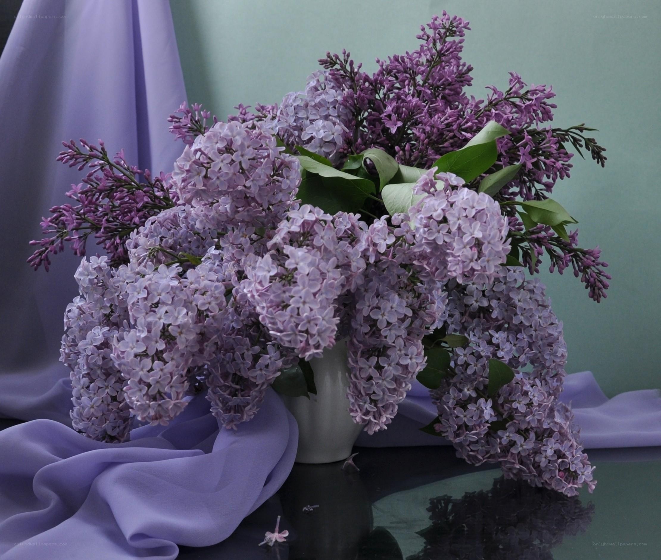 Lilac bouquet in a vase