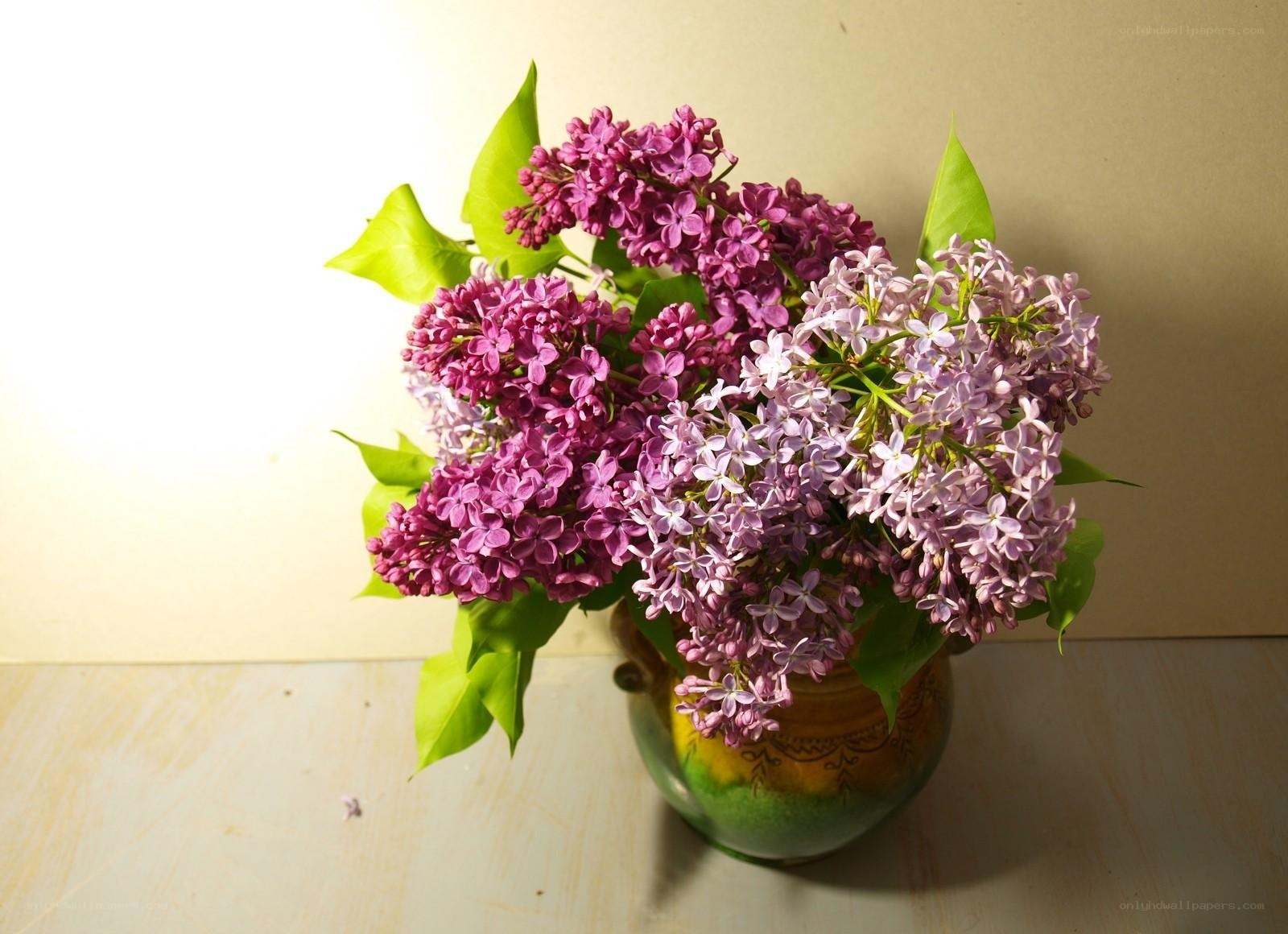 Lilac bouquet in a vase