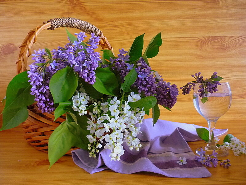 Lilac bouquet in basket