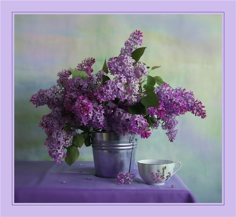 Lilac Bouquet in Bucket