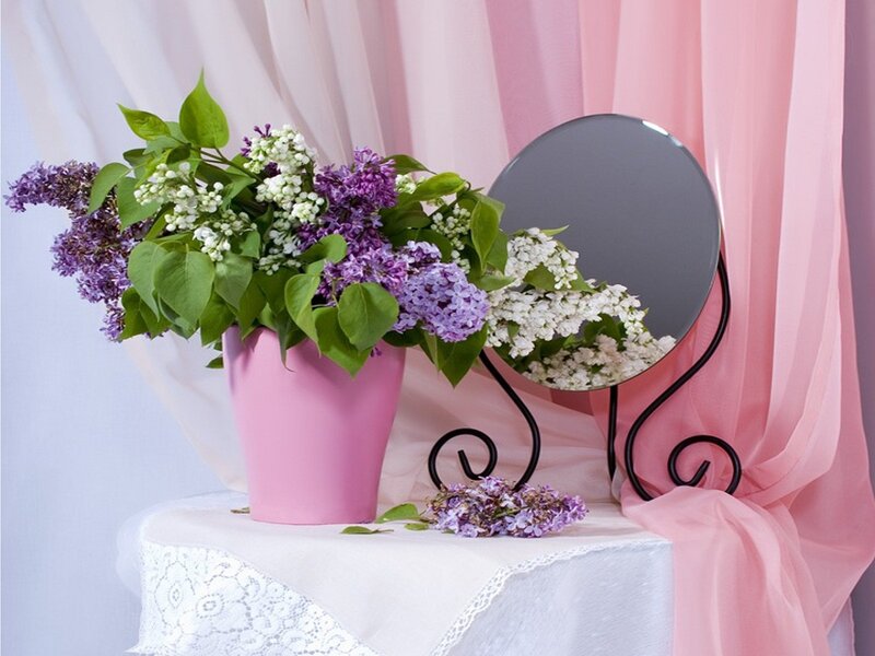 Lilac Bouquet in Vase — Pink