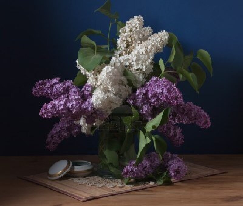 Lilac Bouquet in Vase — Purple, Calm, Photograph
