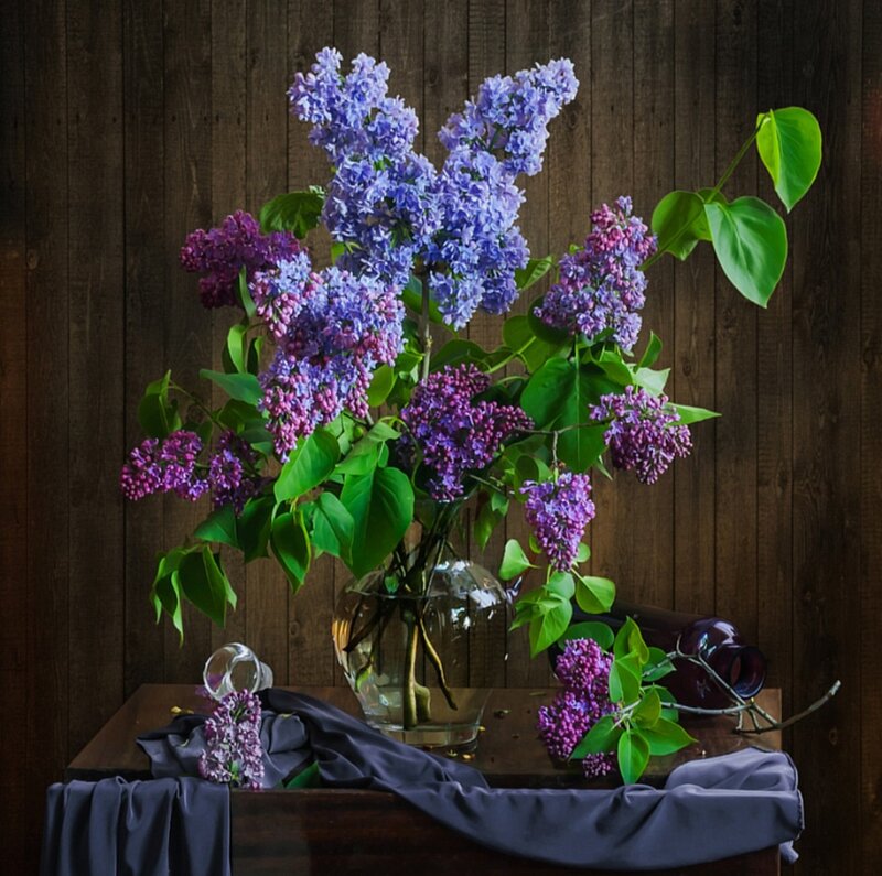 Lilac Bouquet in Vase — Purple, Calm, Spring, Photograph, Cloth