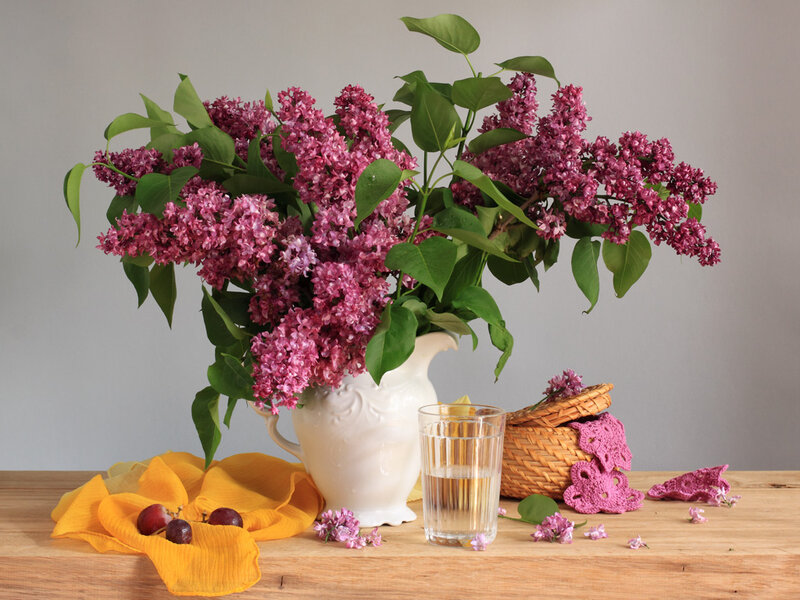 Lilac Bouquet in Vase — Purple, Calm, Spring, Photograph