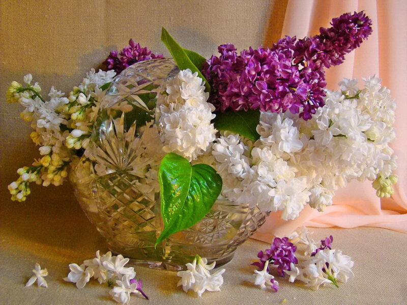Lilac Bouquet in Vase — Purple, Calm, Spring