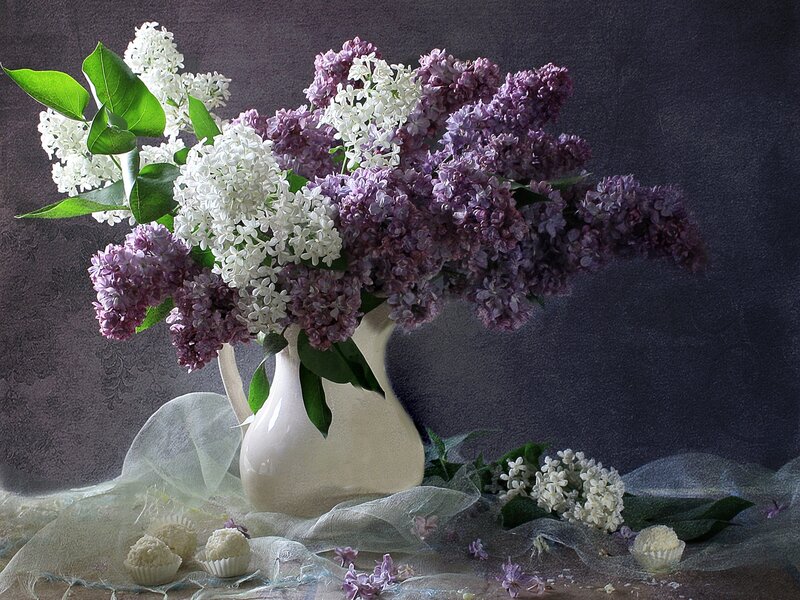 Lilac Bouquet in Vase — Purple, Serene, Photograph